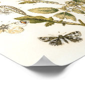 Butterflies en Moths van William Forsell Kirby Poster (Hoek)