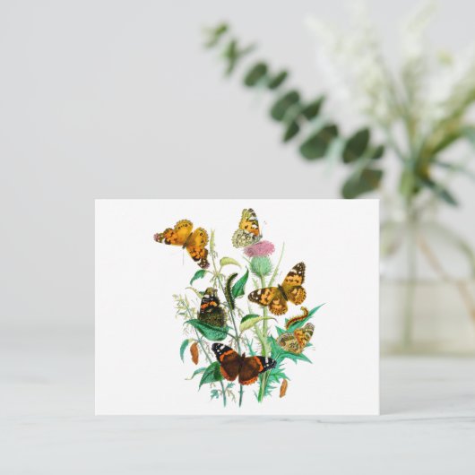 Butterflies en Thistle Briefkaart (Staand voorkant)