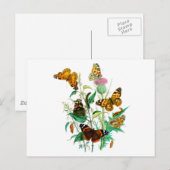 Butterflies en Thistle Briefkaart (Voorkant / Achterkant)