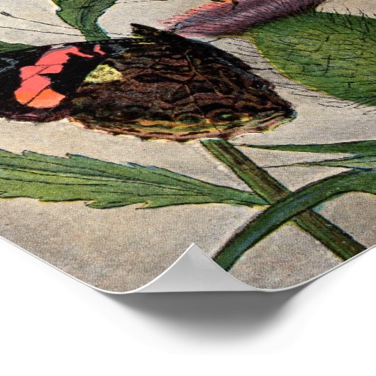 Butterflies en Thistle Poster (Hoek)