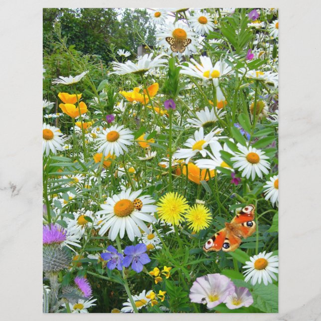Butterflies en wilde bloemen (Voorkant)