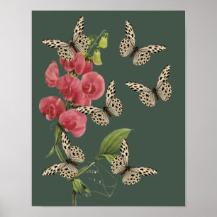Butterflies en zoete pekelbloem poster