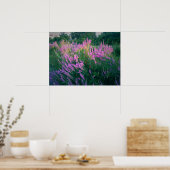 BUTTERFLIES FAVORITE PAARSE LOOSESTRIFE POSTER (Keuken)