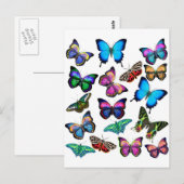 Butterflies fladderen door Briefkaart (Voorkant / Achterkant)