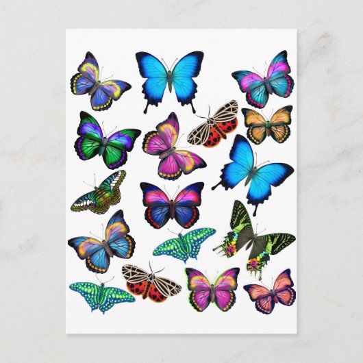 Butterflies fladderen door Briefkaart (Voorkant)