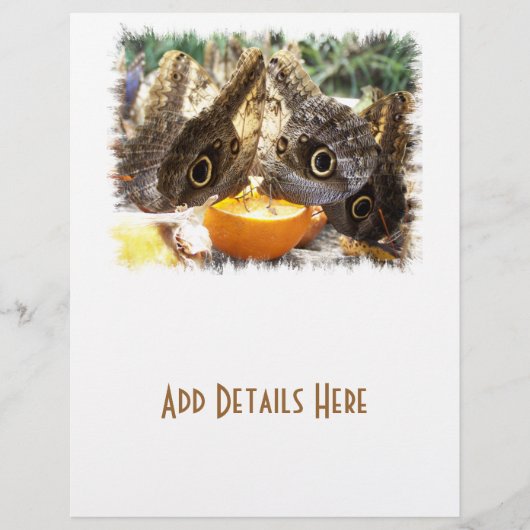 BUTTERFLIES FLYER (Voorkant)