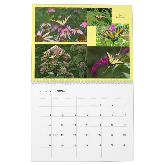 Butterflies - Flying Jewels Calendar Kalender (Jan 2026)