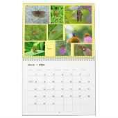 Butterflies - Flying Jewels Calendar Kalender (Mar 2026)
