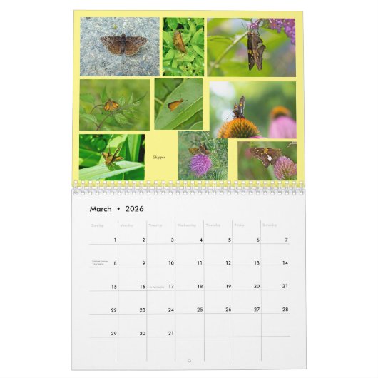 Butterflies - Flying Jewels Calendar Kalender (Mar 2026)