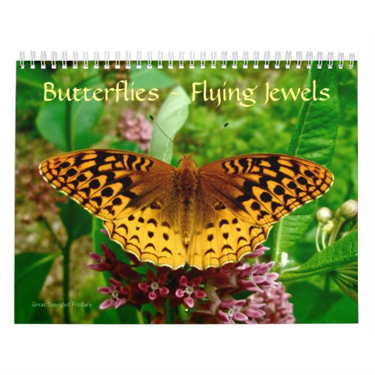 Butterflies - Flying Jewels Calendar Kalender (Hoes)
