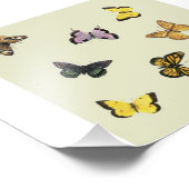 Butterflies Foto Afdruk (Hoek)