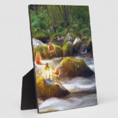 Butterflies Fotoplaat (Zijkant)