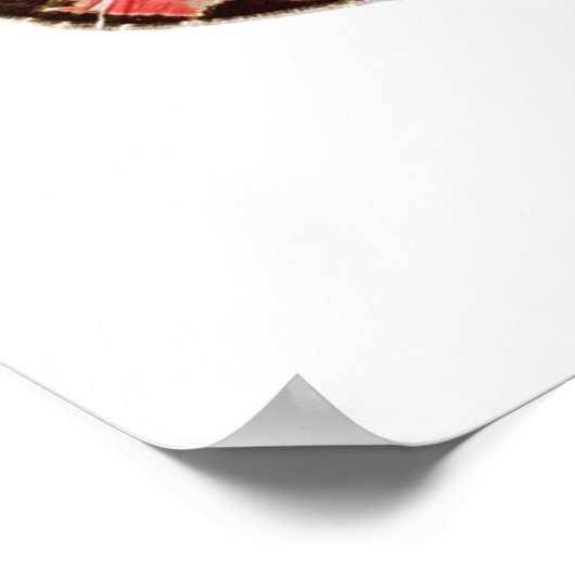 Butterflies Geel Blauw Roze Groen Poster (Hoek)