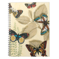 Butterflies glijdend over bladeren