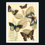 Butterflies glijdend over bladeren poster<br><div class="desc">Als u niet weet hoe prachtige vlinders dit schilderij u zal helpen begrijpen. Megan Meagher creëerde een prachtige renditie van een groep vlinders die over bladeren zweefden. Een prachtig kunstwerk om je thuis in te zetten!</div>