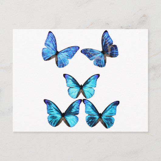 Butterflies Glow Briefkaart (Voorkant)