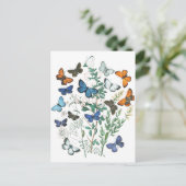  Butterflies Illustratie Briefkaart (Staand voorkant)