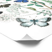  Butterflies Illustratie Foto Afdruk (Hoek)
