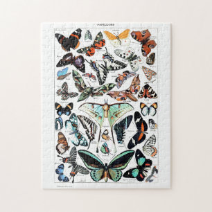  Butterflies Illustratie Legpuzzel