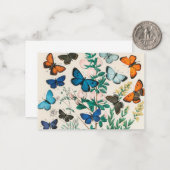 Butterflies,  illustratie notitiekaartje (Voorkant / Achterkant in situ)