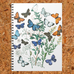  Butterflies Illustratie op een Notitieboek