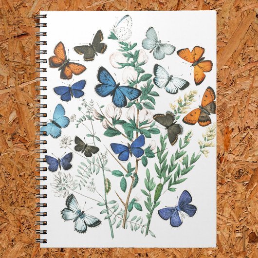  Butterflies Illustratie op een Notitieboek