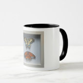 Butterflies "in a lijst" Entomology mok (Voorkant rechts)