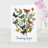 BUTTERFLIES IN DE NATUUR