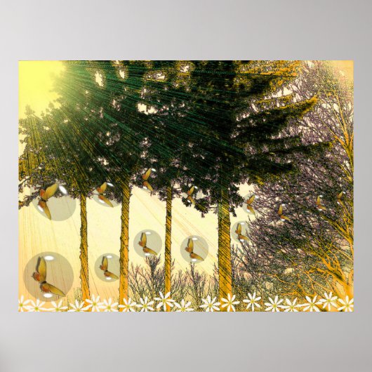 Butterflies in een Bubble Poster (Voorkant)