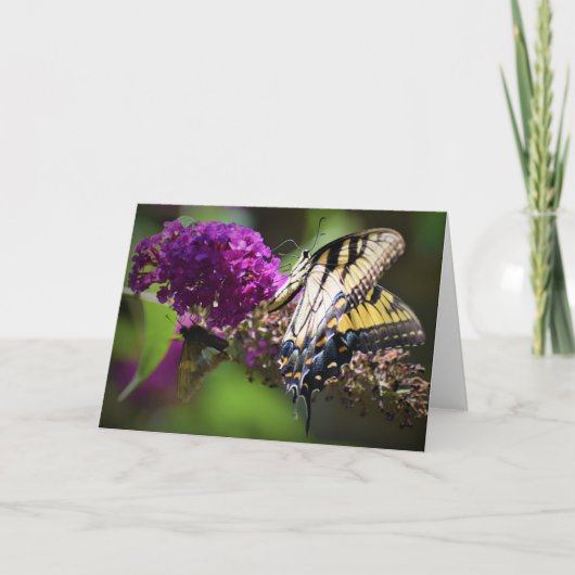 Butterflies, kaart (Voorkant)