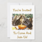 BUTTERFLIES KAART (Voorkant)