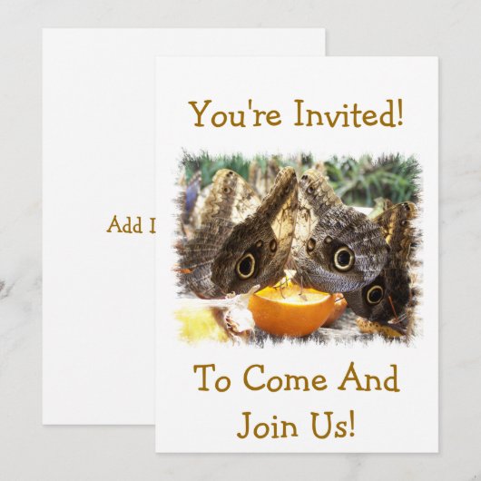 BUTTERFLIES KAART (Voorkant / Achterkant)