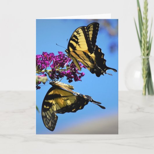 Butterflies, kaart (Voorkant)