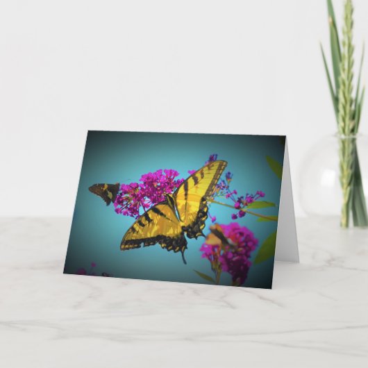 Butterflies, kaart (Voorkant)