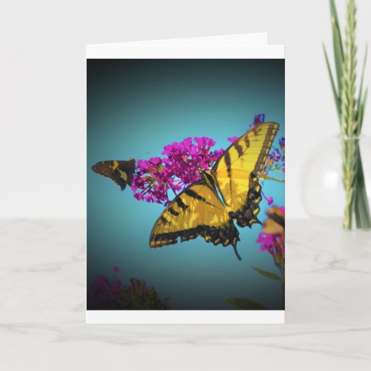 Butterflies, kaart (Voorkant)