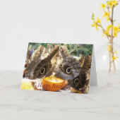 BUTTERFLIES KAART (Gele Bloem)