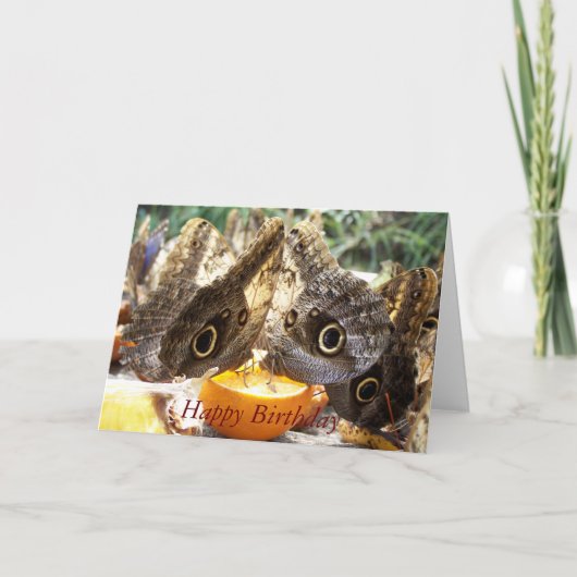 BUTTERFLIES KAART (Voorkant)