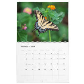 Butterflies Kalender (Feb 2026)