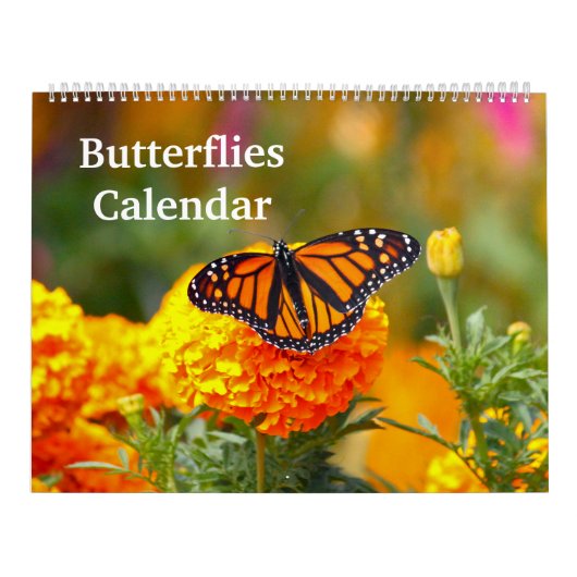 Butterflies Kalender (Hoes)