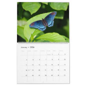 Butterflies Kalender (Jan 2026)