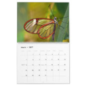 Butterflies Kalender (Mar 2027)