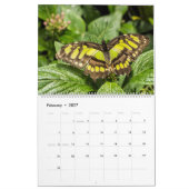 Butterflies Kalender (Feb 2027)