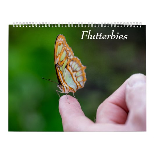 Butterflies Kalender (Hoes)