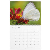 Butterflies Kalender (Jan 2026)