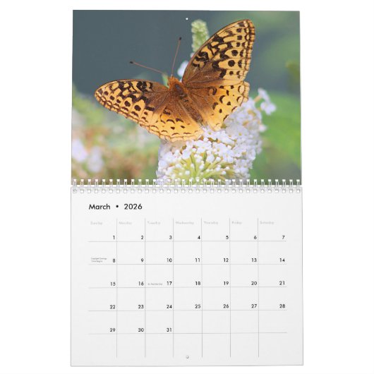 Butterflies Kalender (Mar 2026)