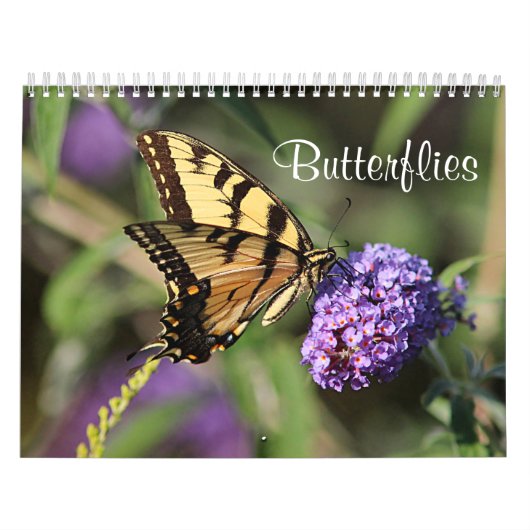 Butterflies Kalender (Hoes)