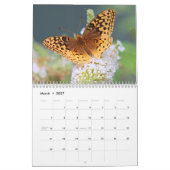 Butterflies Kalender (Mar 2027)