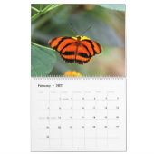 Butterflies Kalender (Feb 2027)
