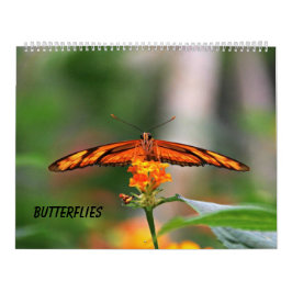 Butterflies Kalender