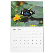 Butterflies Kalender (Mar 2027)